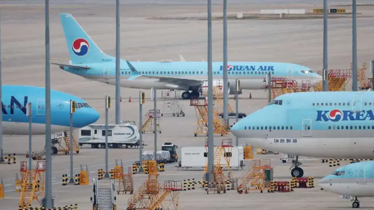 Korean Air запретила перевозить петухов из США на Филиппины