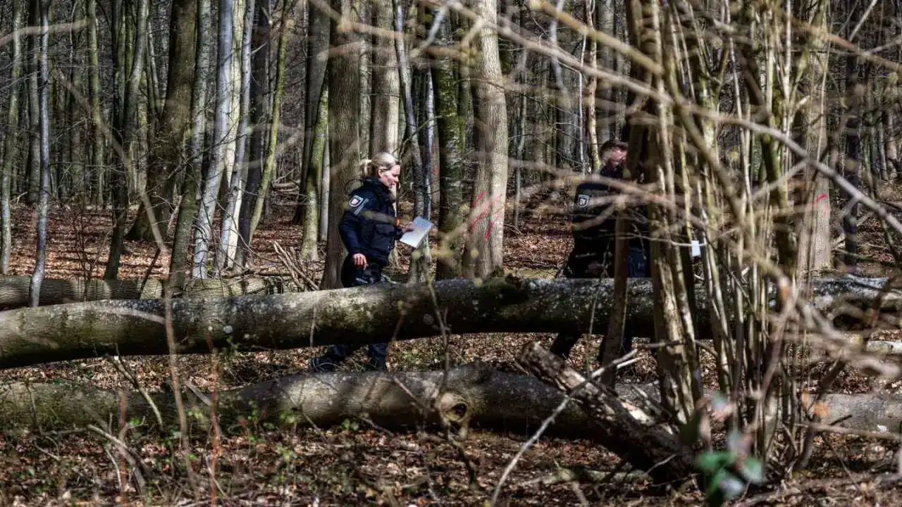 В Германии дерево рухнуло на пасхальный праздник и убило троих, включая младенца