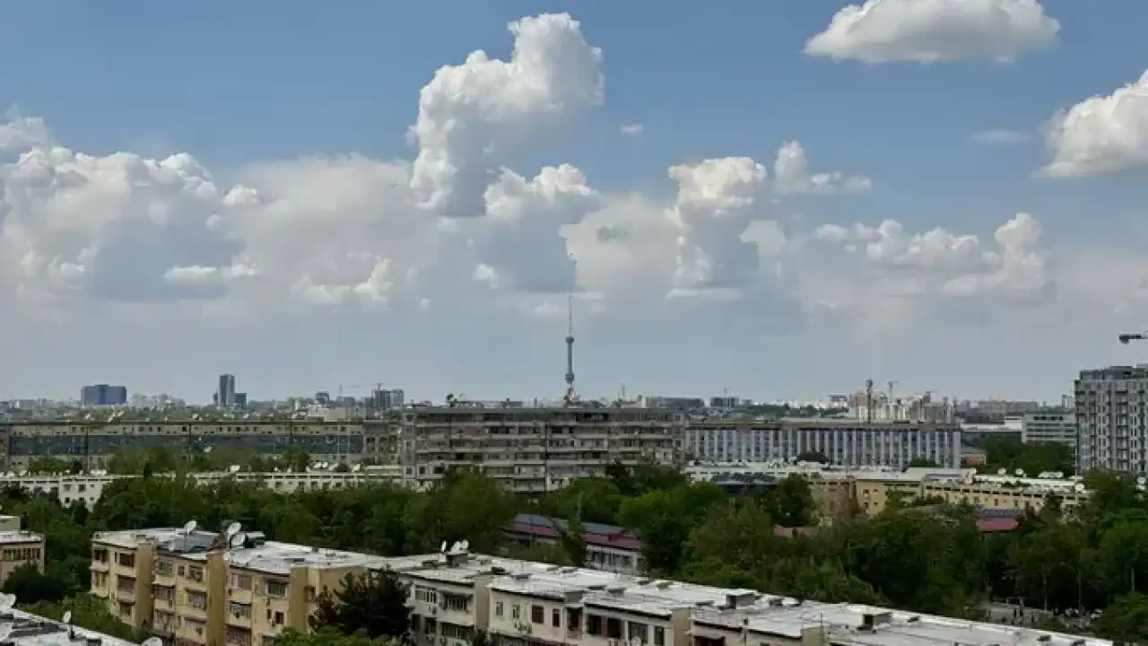 Узбекистан встретит выходные теплом, ветром и редкими дождями