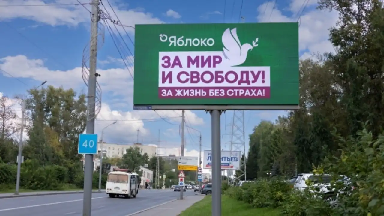 В Удмуртии суд снял с выборов в Госдуму кандидата от «Яблока» Ию Боронину