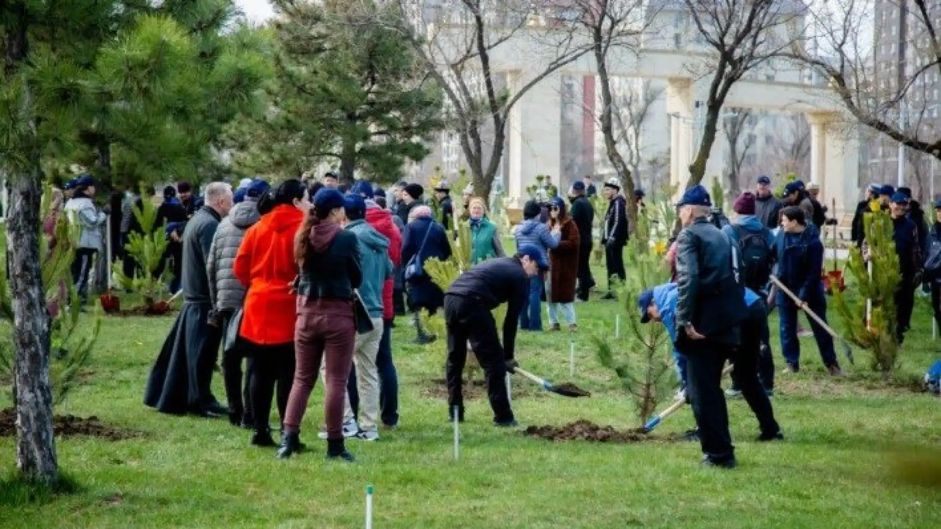 В Кыргызстане бизнес могут обязать убирать и озеленять территории у объектов